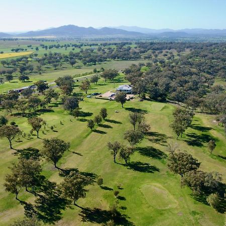 Quirindi Sunflower Motor Inn Εξωτερικό φωτογραφία