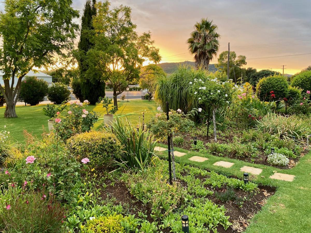 Quirindi Sunflower Motor Inn Εξωτερικό φωτογραφία