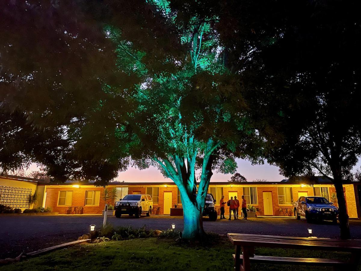 Quirindi Sunflower Motor Inn Εξωτερικό φωτογραφία