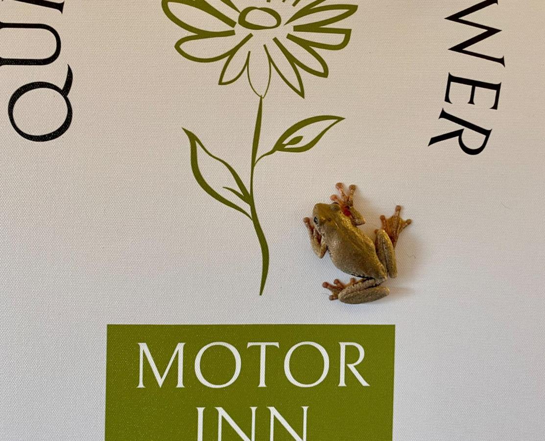 Quirindi Sunflower Motor Inn Εξωτερικό φωτογραφία