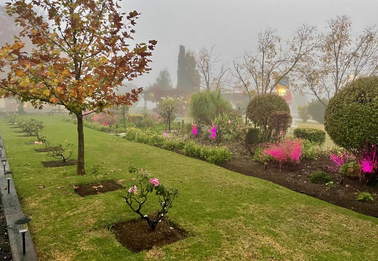 Quirindi Sunflower Motor Inn Εξωτερικό φωτογραφία
