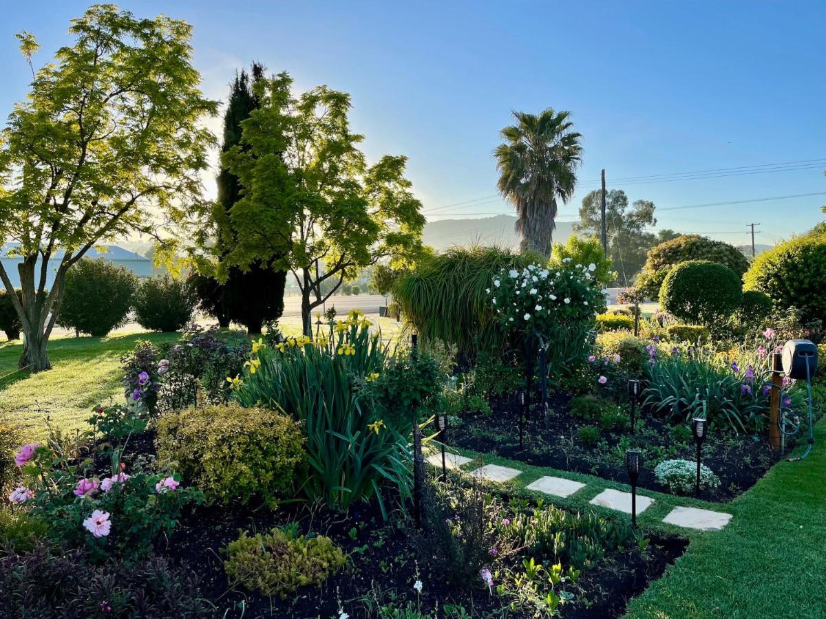 Quirindi Sunflower Motor Inn Εξωτερικό φωτογραφία