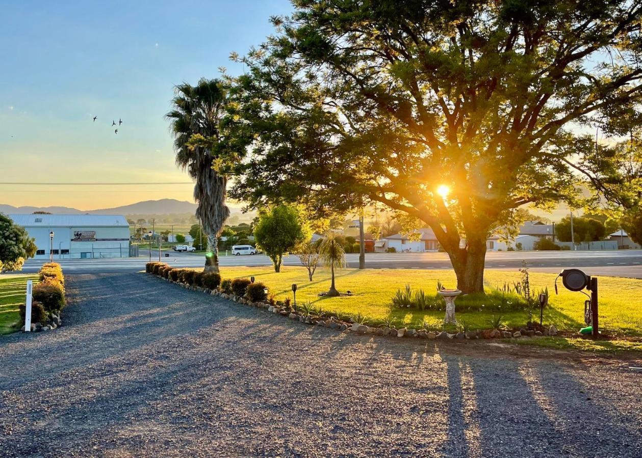 Quirindi Sunflower Motor Inn Εξωτερικό φωτογραφία