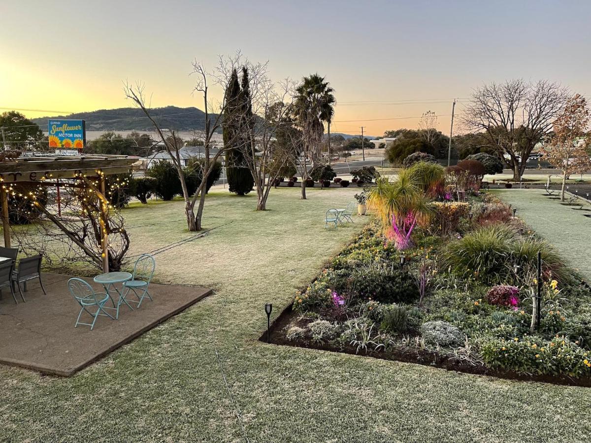 Quirindi Sunflower Motor Inn Εξωτερικό φωτογραφία