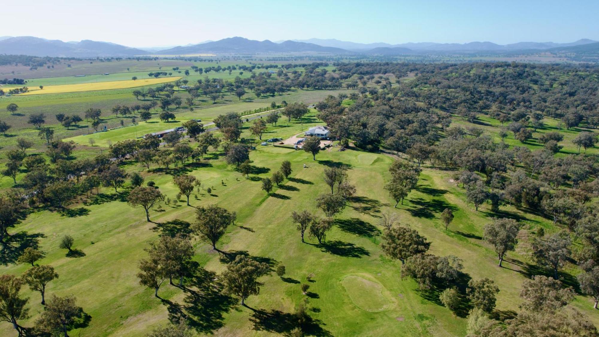 Quirindi Sunflower Motor Inn Εξωτερικό φωτογραφία