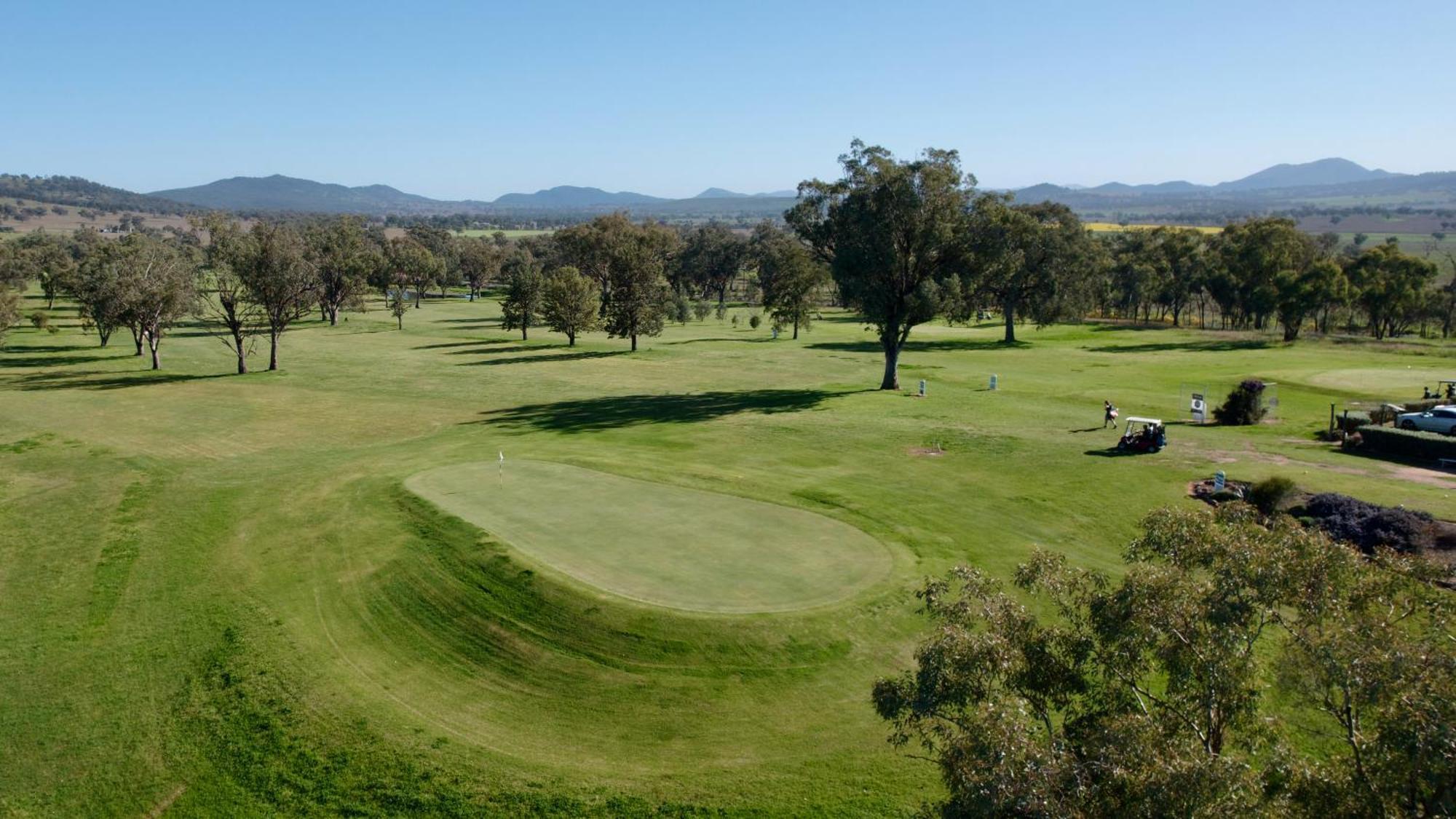 Quirindi Sunflower Motor Inn Εξωτερικό φωτογραφία